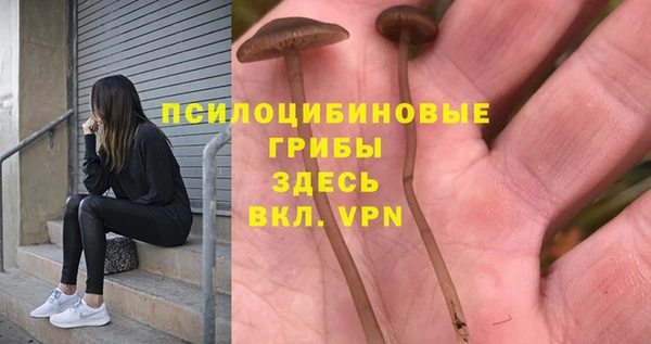 MESCALINE Баксан